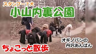 ＜ちょこっと散歩＞小山内裏公園（おやま だいりこうえん）スタンプーの散歩