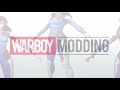 warboy mounts the alphacool d ram module and d ram cooler d.va modding