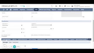 NetSuite | Give Access To User