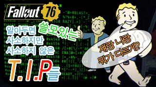 알아두면 쓸모있는 사소하지만 사소하지 않은 팁들 | Fallout76