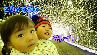 【イルミネーション】光のトンネルに大興奮！！フルーツパーク時之栖！男女双子生後2歳1ヶ月Mix twins excited at illuminations very much