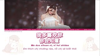 Wo Duo Xi Huan Ni, Ni Hui Zhi Dao - Becky Rebecca | Audio Edited | Lyrics | Pinyin | Vietsub