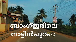 Rajpura road view | Jigani Lake | Travel vibes |ബാംഗ്ളൂരിലെ ഉൾവഴികൾ