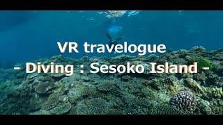 VR travelogue - Diving : Sesoko Island Okinawa prefecture, Japan -