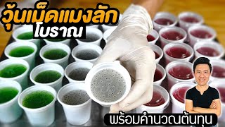 วุ้นเม็ดแมงลักโบราณ ลงทุนต่ำ ทำขาย กำไรดี พร้อมคำนวณต้นทุน | เชฟขวัญ