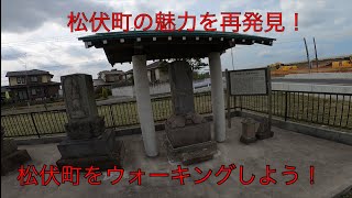 松伏町の魅力を再発見！ウォーキングしよう！【まつぶしNLP# 88】