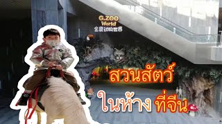 สวนสัตว์ในห้างที่จีน | เขยจีน สตอรี่ - Khoei Jeen Story