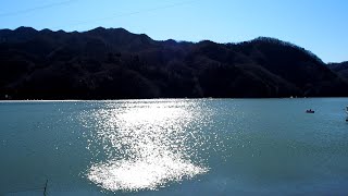 相模湖の湖畔をゆったり散策した！陽光輝く水面が美しい！相模湖公園・相模ダム！神奈川・相模原市