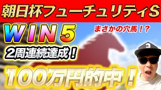 【WIN5予想】連続的中なるか！有松特別・六甲アイランドS・ディセンバーS・コールドムーンS・朝日杯FS