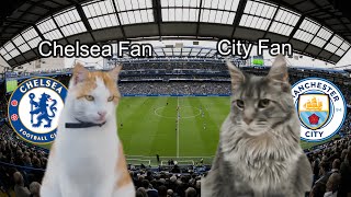 Chelsea vs Manchester City  CAT MEMES