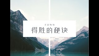 得胜的秘诀