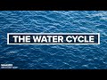 The Water Cycle | Weather Wise Lessons