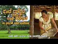 අපේ සුන්දර ගැමි ජීවිතය හා ඉපැරණි හේන් ගොවිතැන | Thewawa sri lankan culture Documentary