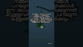 നമ്മളെ കുറിച്ച് നമ്മൾ പറയുന്ന സത്യത്തെക്കാൾ...|malayalam motivation status #motivation#status