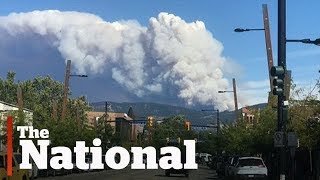 Latest wildfires force evacuations east of Kelowna, B.C.