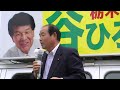 参議院議員選挙公示　栃木県選挙区　谷博之候補者出陣式（民主党）