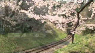 【東日本大震災被災前映像】石巻線女川トンネルの桜