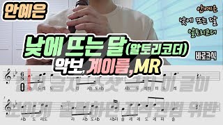 안예은 - 낮에 뜨는 달 악보 알토리코더 연주