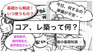 コアとは？レ築（レジン築造）とは？いつ、何のためにするの？！〜初めての歯科✨新歯科助手、歯科衛生士、歯学部生、新歯科医師の皆さんへ向けた歯の基本の知識！📙〜