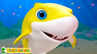 Baby Shark Song, Sea Animal and Kindergarten Song for Kids