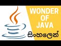Wonder of Java | What can we do with Java ? | Sinhala
