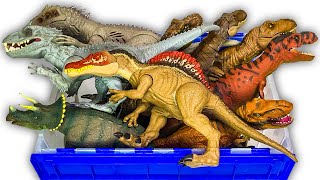 HUGE Jurassic World Dino Collection | Dominion, Fallen Kingdom, Hasbro, Mattel, and more!