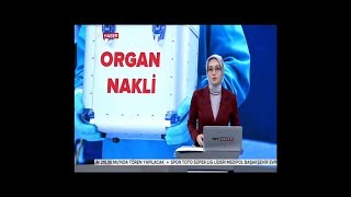 Dünyada Canlıdan Karaciğer Naklini En Çok Yapan Ülke Türkiye