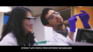 Research opportunities in Chemistry: Sheryl's experience