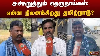 அச்சுறுத்தும் தெருநாய்கள்: என்ன நினைக்கிறது தமிழ்நாடு? | DOG