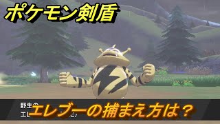 ポケモン剣盾　エレブーを捕まえる方法！オススメの場所は？天気は？ポケモン図鑑コンプへの道！　最新版【ポケモンソード・シールド】