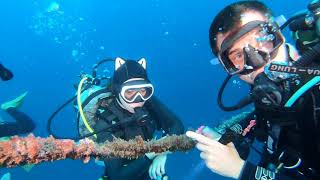 Molas Shipwreck Indonesia Celebes Divers. Manado.