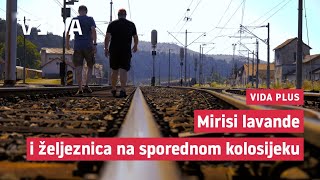 VIDA plus - Reportaža iz Moravica