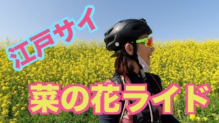 【ロングライド】江戸サイ菜の花ライド🌼アラフォー女子🚴‍♀️ロードバイクでお出かけ