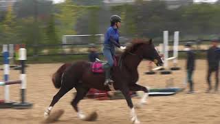 10/28 走行会 石橋 清将 80cmクラス