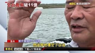 【凱米颱風】台西蚵農好苦！ 颱風「吹倒蚵棚」重創產量@newsebc