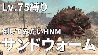 【FF11】狼鯖最強のHNMLSが魅せる。