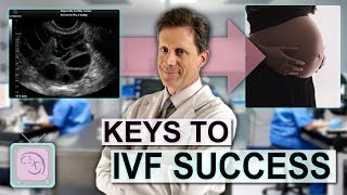 Infertility Treatment for Women - IVF with Dr. Randy Morris
