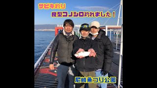 良型コノシロ釣れました♪ fishing max武庫川店