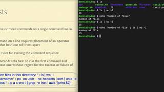 bash2.01 command lists with semicolon