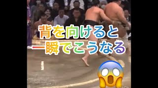 あ～れ～…お相撲さんに背を向けるとこうなる #相撲 #sumo