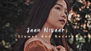 Jaan Nisaar [Slowed And Reverb] || Arijit Singh song || #bollywoodsongs #jaannisaar #lofi
