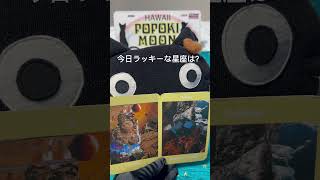 【ラッキーな星座・乙女座♍️】疲れてる？カラダを温めて。Stop thinking！ボイジャータロット\u0026アロマセラピストPopoki Moon 慈(MEGUMI) #ボイジャータロット #占い