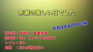 【姫路市】　妻鹿漁港の海中映像　赤潮の激しい日でした・・・・それでも風が気持ちいい日でした　令和3年6月中旬