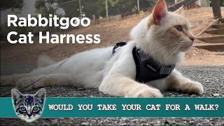 Rabbitgoo Cat Harness - The Best Way to Walk Your Cat?