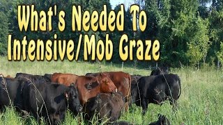 What's Needed To Start Intensive/Mob Grazing Livestock