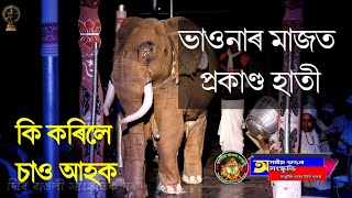 গজৰাজৰ প্ৰৱেশ।।গজেন্দ্ৰ মোক্ষণ।।Gojendra Mukhyan bhaona।।vauna Probesh।।