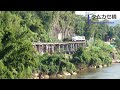 thailand kiha 183 running on the thai burma railway kwai river and the tamkase bridge.