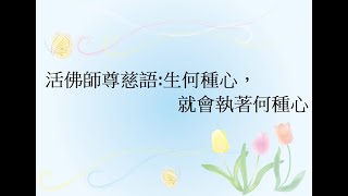 活佛師尊慈語:生何種心，就會執著何種心