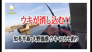 秋のフカセ釣りを楽しむ！愛知県知多半島の「大野漁港」のウキフカセ釣り