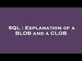 SQL : Explanation of a BLOB and a CLOB
